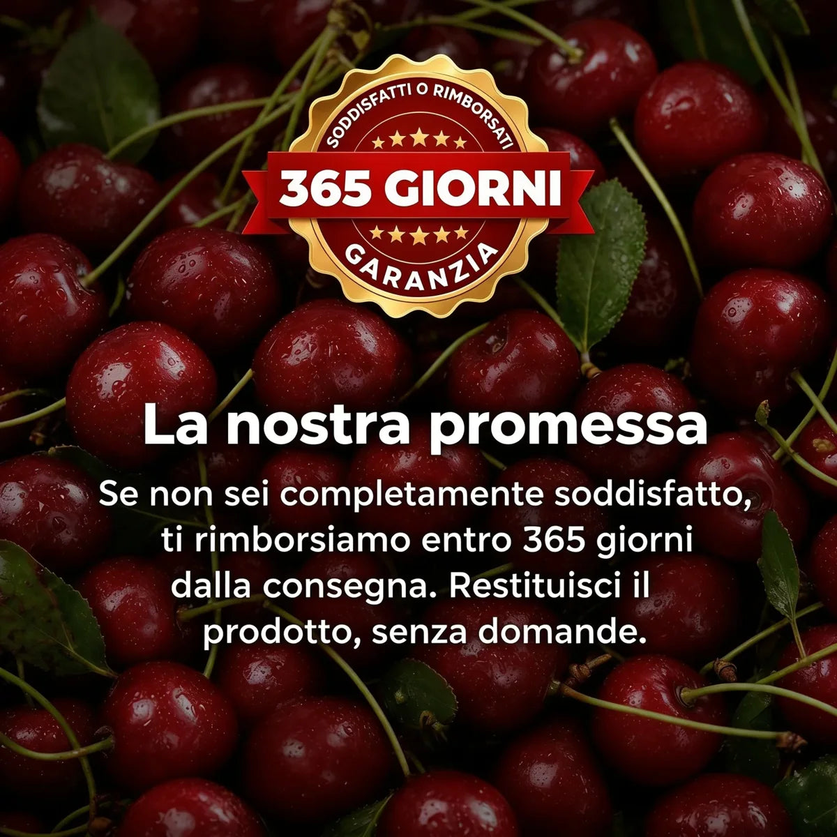 Amarenia Estratto di Amarena